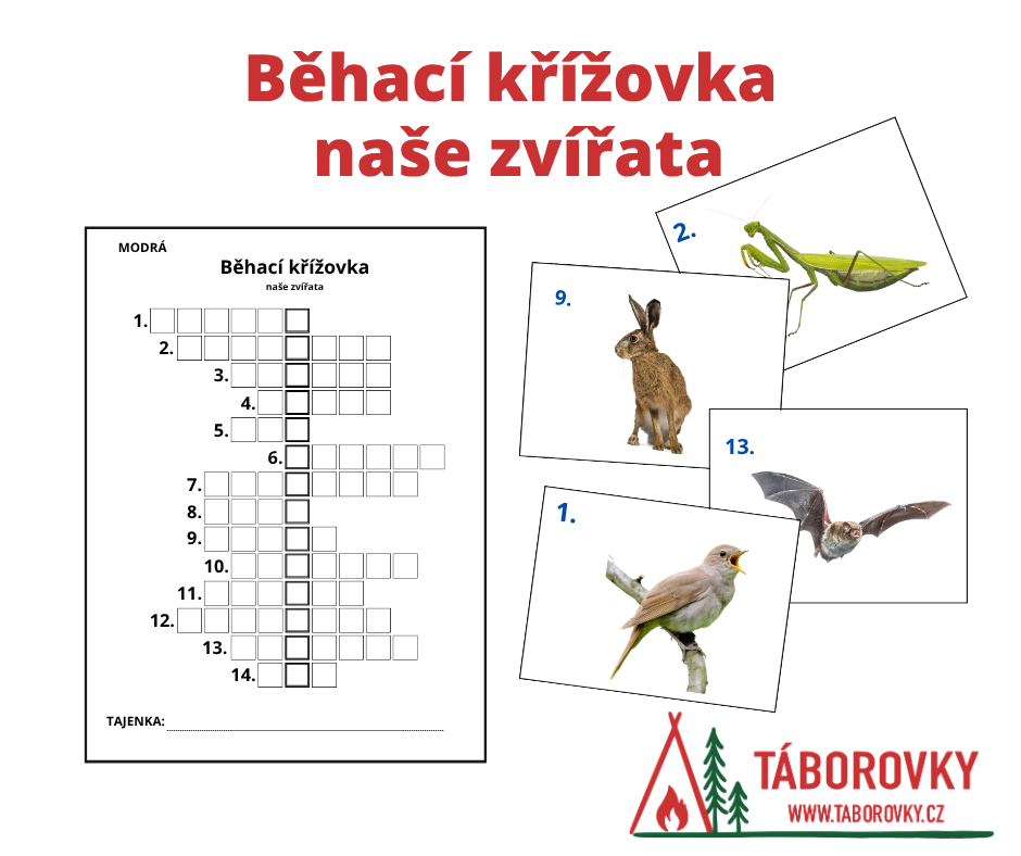 Běhací křížovky pro děti s tématem zvířat